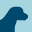 Welcome to Surfside Animal Hospital | Oceanside Veterinary Clinic | Open 7 Days a Week!