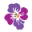 Susan C. Daffron - Award-winning fiction & nonfiction author