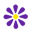 Essential oils manufacturers | Synergy Essential