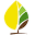 Syracuse Lightscapes, Inc.