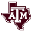 Texas A&M University Ice Hockey