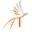 Home | Texas Ornithological Society