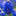 Texas Bluebonnet Wildflower Seeds Clover Seed Gardens