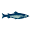 Texas Coast Fishing | No Fish No Pay Guide Service | Fishing Guides Port Aransas & Rockport
