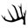 www.texasdeerassociation.com