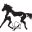 The Breeders Assistant - Equine Reproduction School and Training
