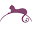 Family Cat Hospital in Hamilton, ON | The Cat Clinic