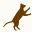 The Cat Hospital | Care | Knowledge | Support