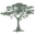 The Cypress Group