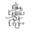 The Light of Life – Longevity Energetic®