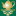 Buy Loose Leaf Tea Gourmet Online Sellers | Tea of the Month Clubs | The Tea Table