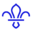 Thurrock Scouts