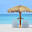 Tiki Hut | California | Tropical Shade Imports