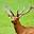 Velvet Antler Processing | Tobin Farms Velvet Antler