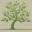 Trade Winds Fruit | Rare and Heirloom Seeds