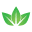 Trivita Wellness - TriVita.com