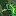 Tropical Bamboo® Nursery & Gardens - The Bamboo Plant Source