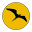 Tropical Birding | Custom and Set Departure Wildlife Tours Around the World