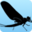 Troutnut: Fly Fishing and Hatch Knowledge, Photos, and Discussions