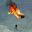 Troy Hartman | Aerial Stuntman | Skydiver | BASE | Pilot