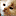 OpenVPN CWS
