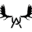Unique Antler Design