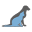 Vet Professionals - Information and Advice for Pet Owners and Vet Professionals