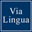 TEFL Certification Courses - Via Lingua Teach English Abroad
