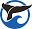 Springtide – Whale & Wildlife Watching Tours in Victoria, BC