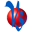 Video Storm LLC