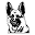 videxgsd.com
