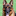VON FENJA - von Fenja for the German Shepherd Dog