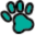 Welcome to VRCC Animal Hospital in Englewood | Specialty & Emergency Vets