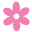 Home - The Centers for Vulvovaginal Disorders