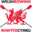 Home - Welsh Rowing