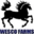 Wesco Farms Miniature Horses | Miniature Horses for sale | Miniature Horse Information