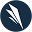 Hair transplant clinic london -westminster clinic
