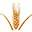 Wheat Foods Council - a one-stop source for everything about wheat and wheat food nutrition.