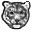 WELCOME to the WILD CAT EDUCATION and CONSERVATION FUND