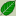 Alderleaf Wilderness College | Nature & Survival School