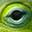 Wild Herps