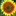 WINDOWS OF OPPORTUNITY COUNSELING SERVICES - Home