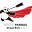 Windy Pandas - London Dragon Boat Club - United Kingdom