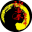 Tom Wong Wing Chun