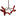 Aromatherapy Products, Essential Oils, Spa and Skin Care: Samara Botane/Nature Intelligence