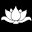 White Lotus Gallery
