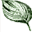 Western NY Hosta Society