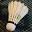 World Badminton