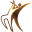 All about DanceSport at World DanceSport Federation