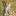 Exotic Animals - World Exotics, Inc.
